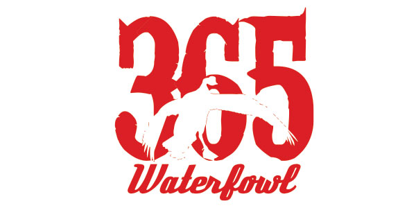 365 Waterfowl Logo Design - Web Design and Graphic Design