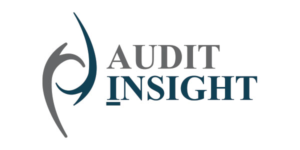 Audit Insight Logo Update - Web Design and Graphic Design