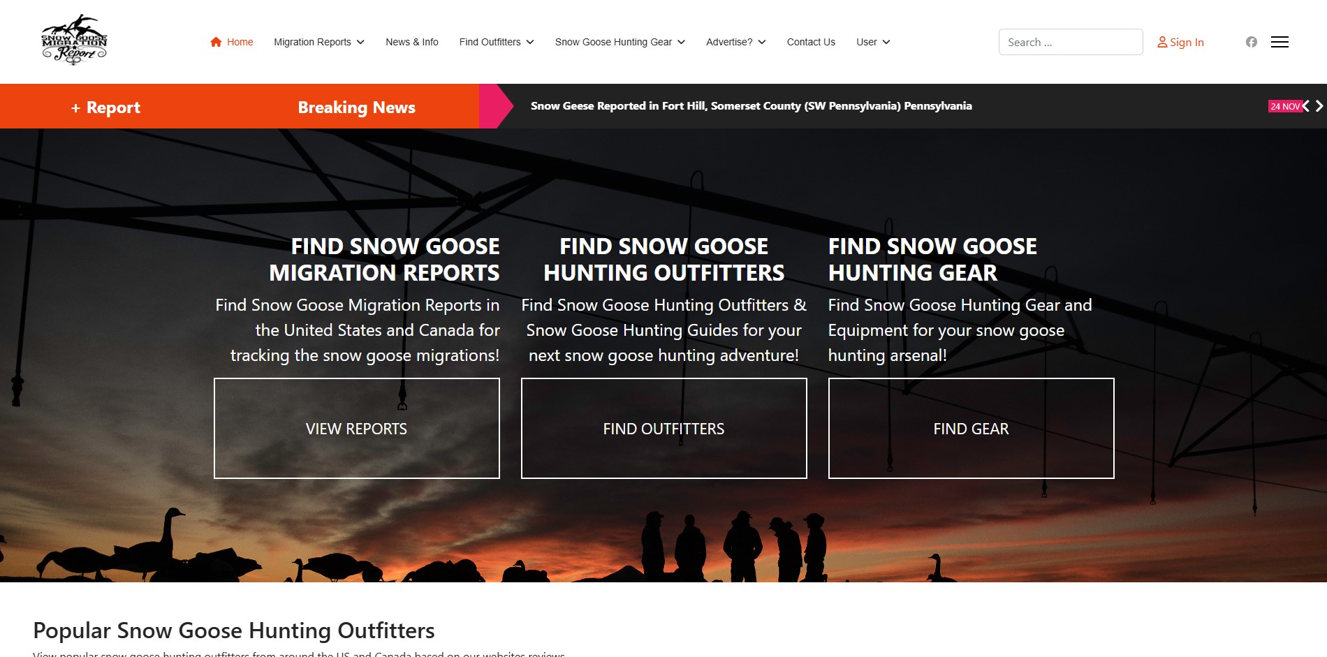 Snow Goose Migration Report - Web Design and Graphic Design