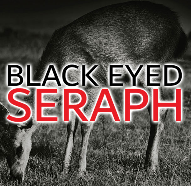 Black Eyed Seraph Web Design